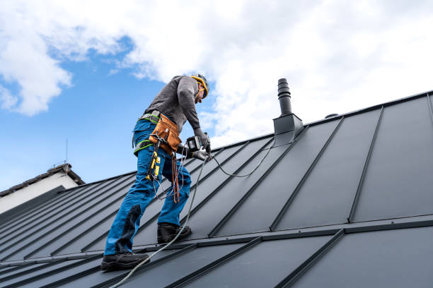 Best Roof Insulation Installation  in Llender, CA