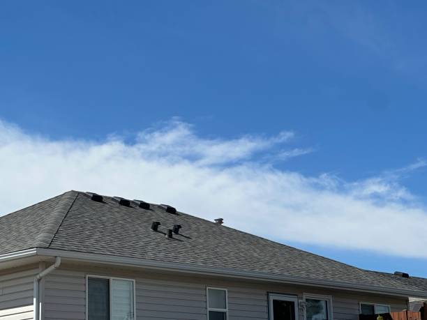 Best Wood Shake Roofing  in Llender, CA